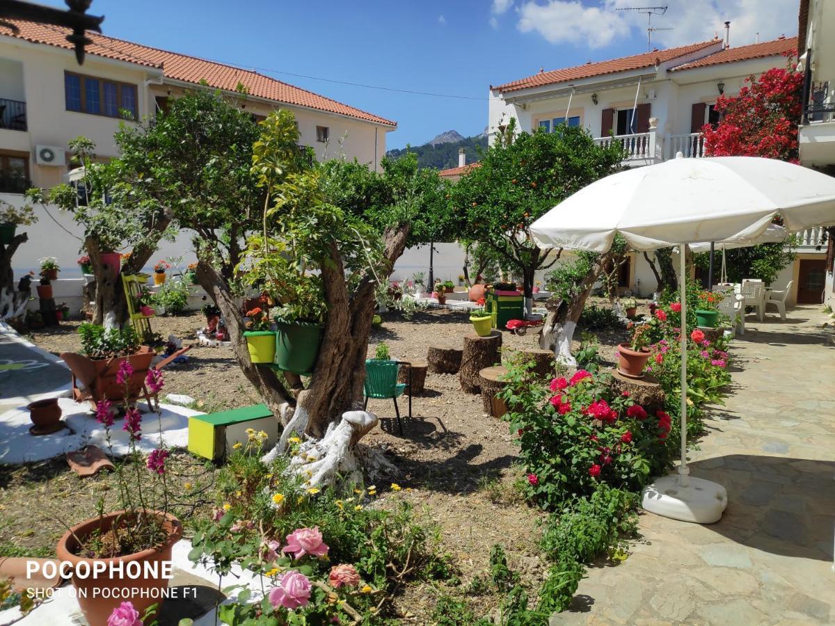 Katerina Apartments Kokkari Luaran gambar