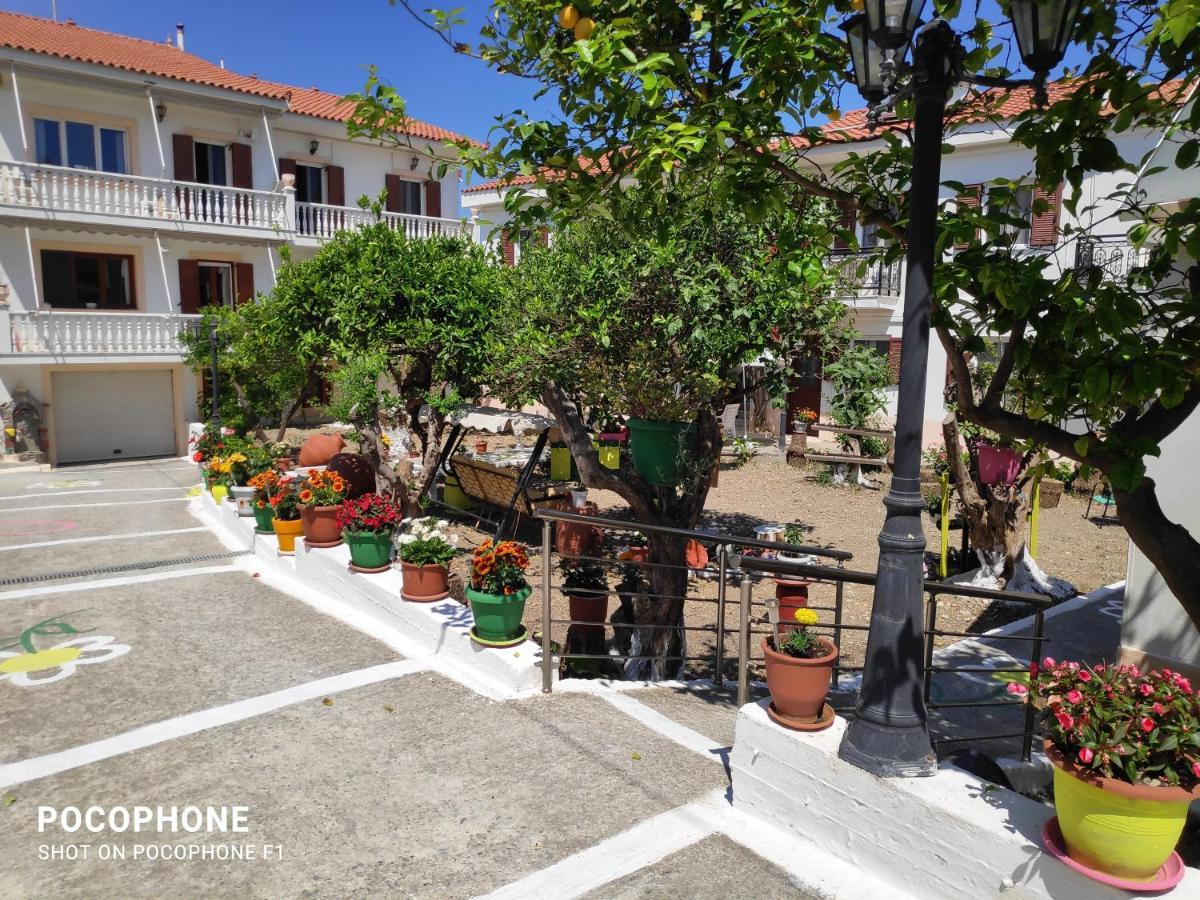 Katerina Apartments Kokkari Luaran gambar